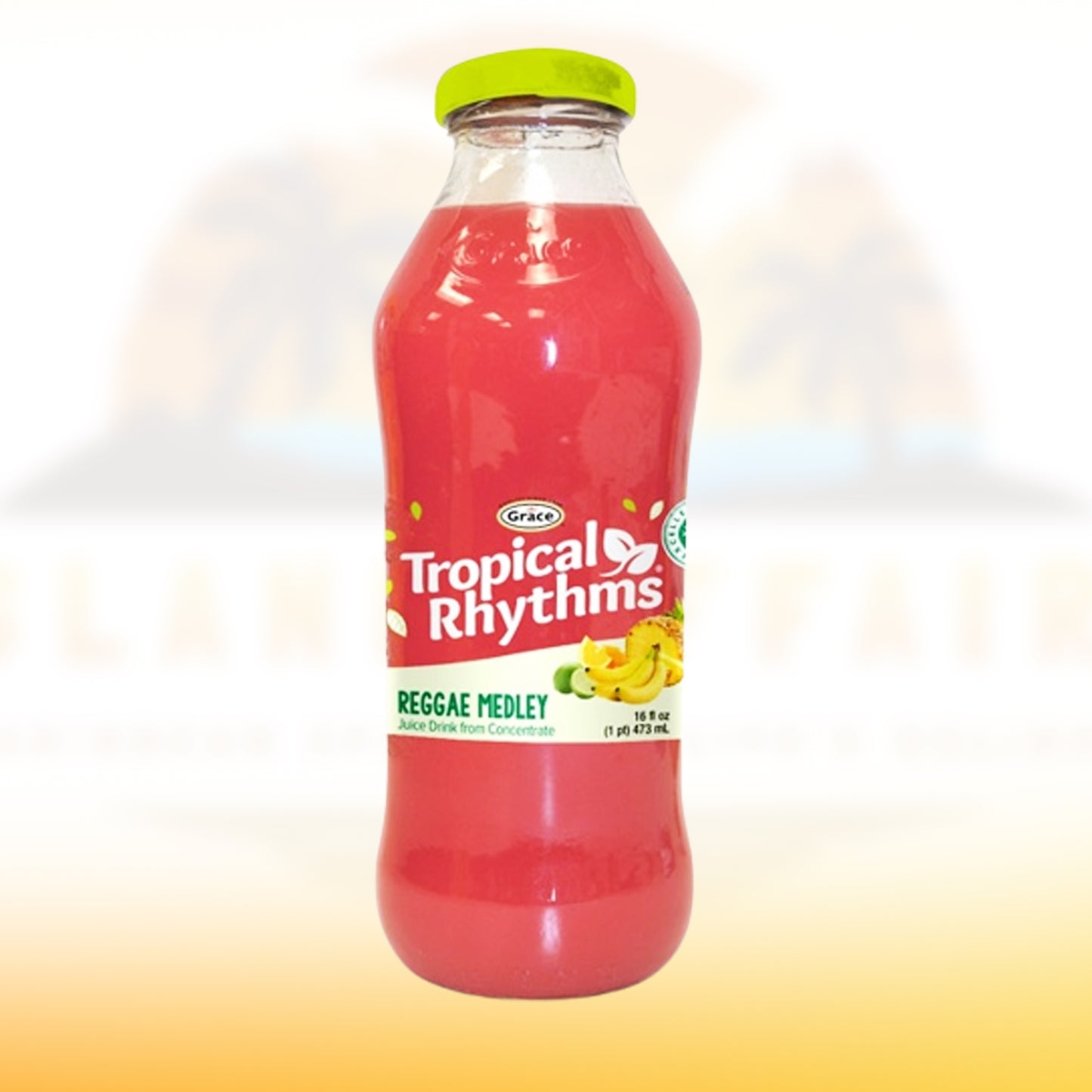 Tropical Rhythms Reggae Medley