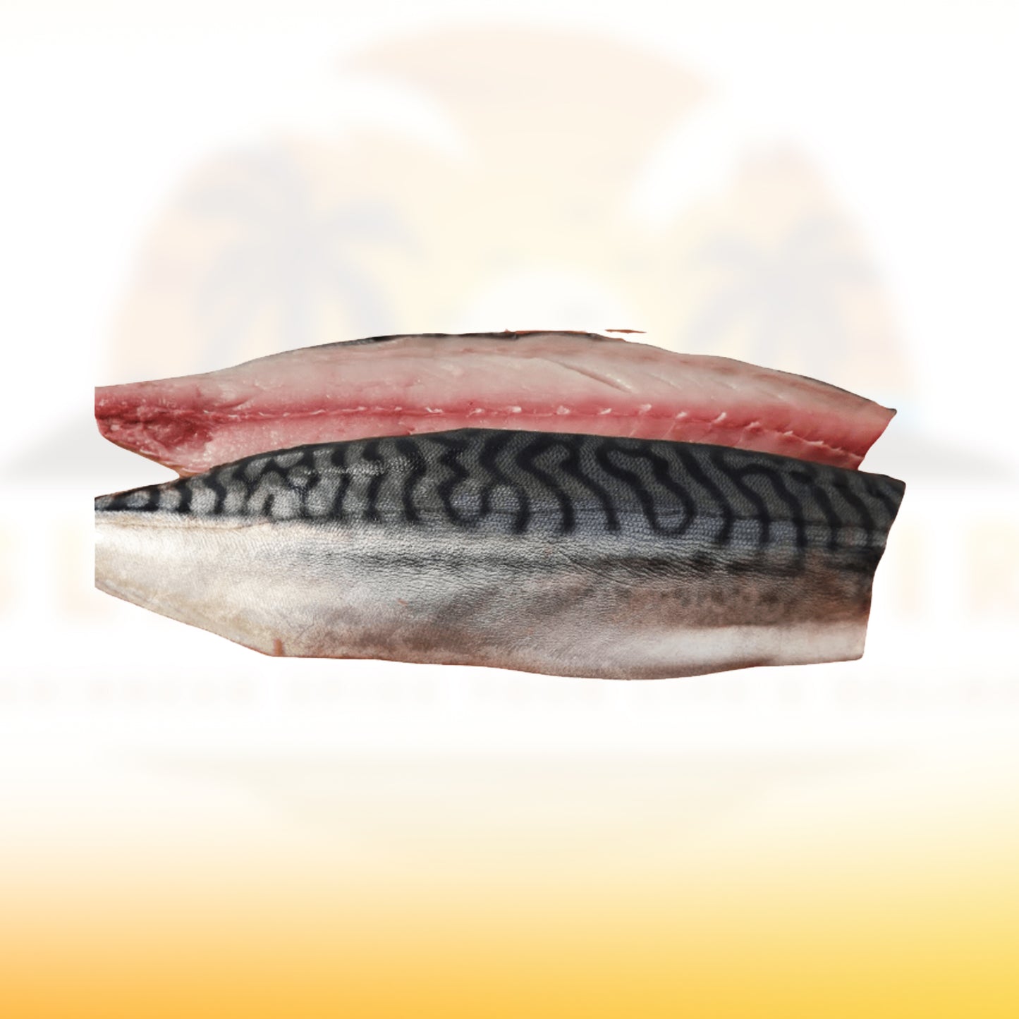 Salt-Mackerel
