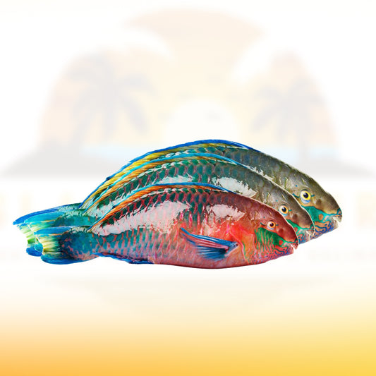 Parrot Fish
