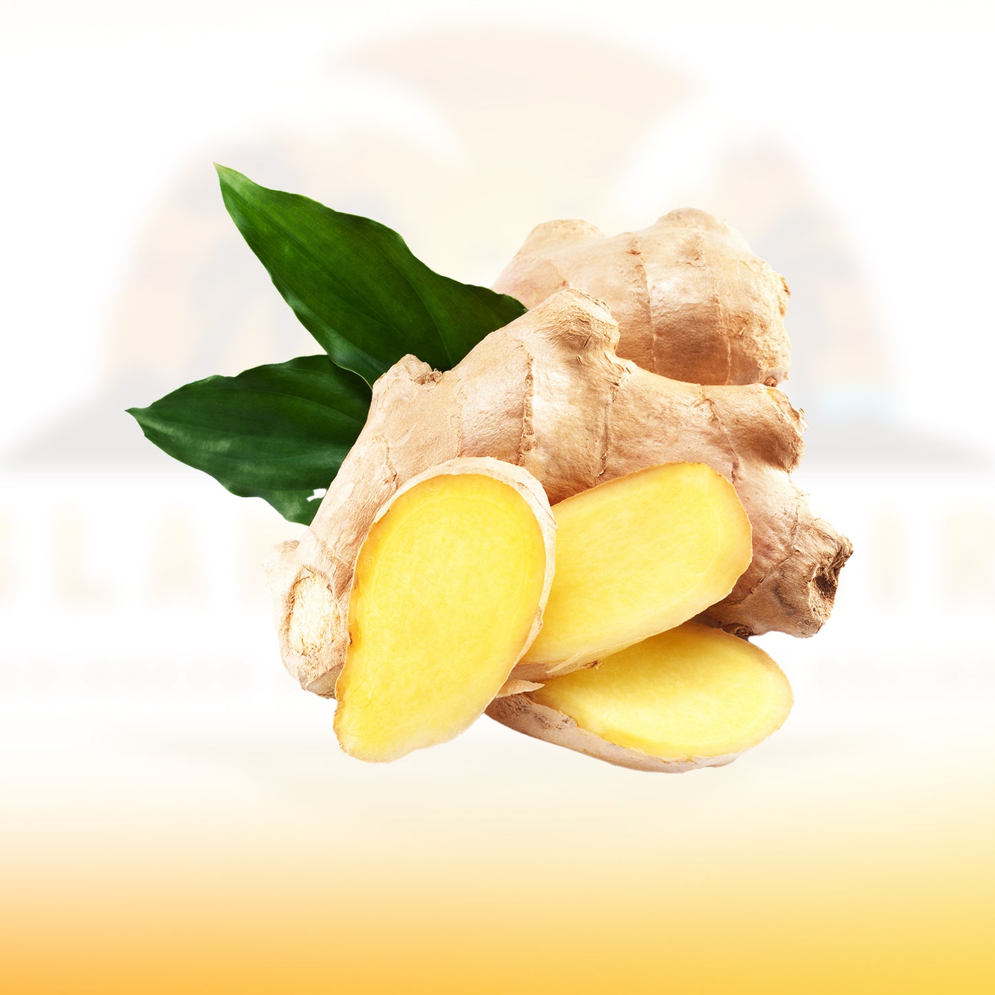 Ginger (Fresh•Whole)