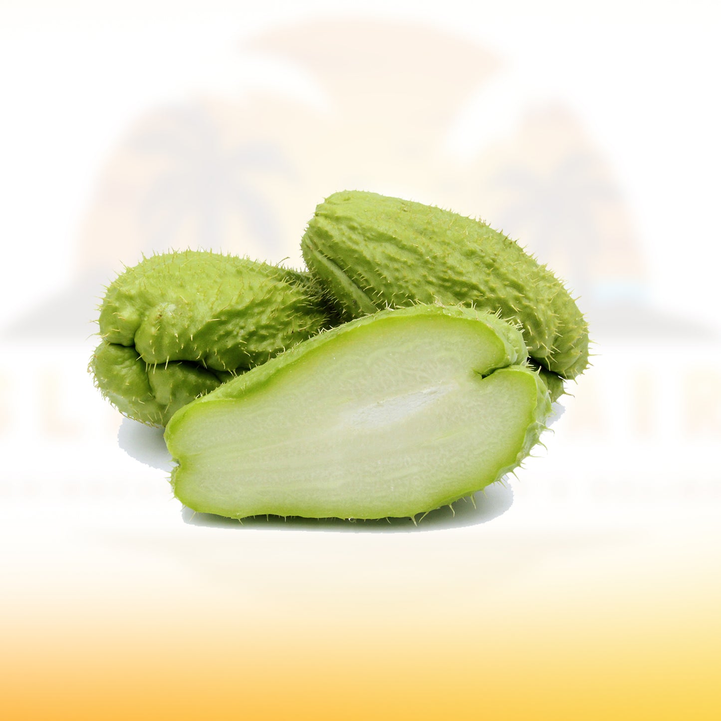 Chayote negro